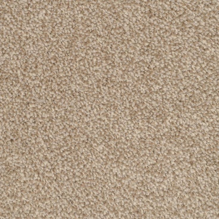 STAINMASTER Signature Shafer Valley Reverse Textured Carpet Sample (Interior)