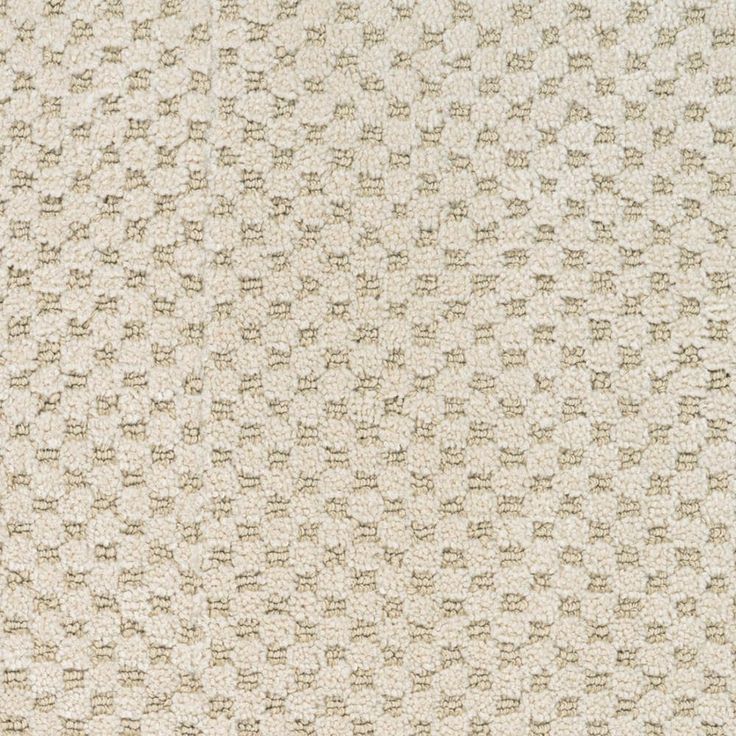 STAINMASTER PetProtect Natural Essence Hyde Park Pattern Carpet Sample (Interior)