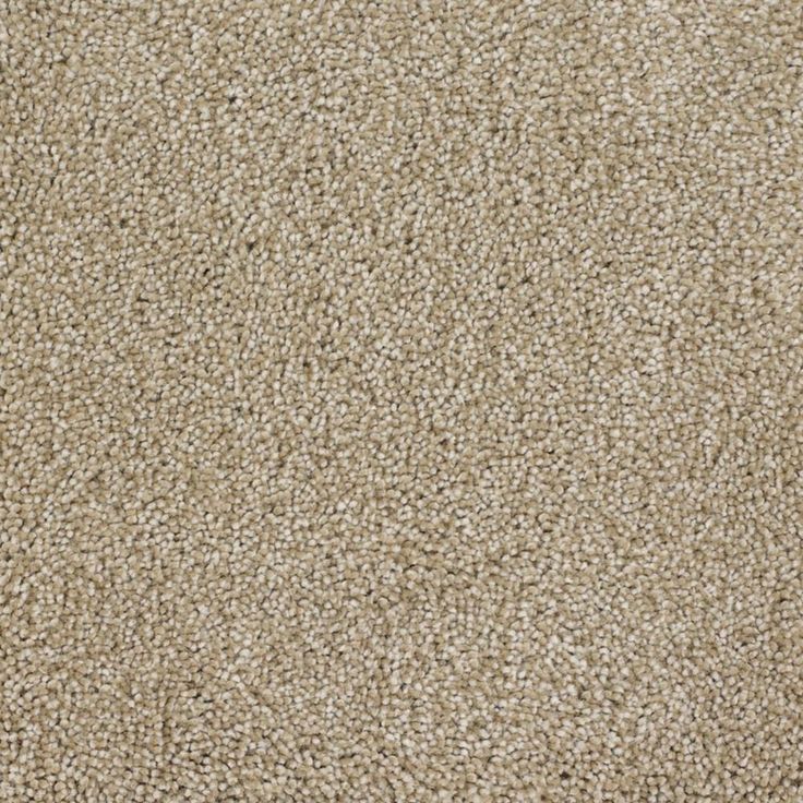 STAINMASTER Signature Briar Patch Avalon Textured Carpet (Indoor)