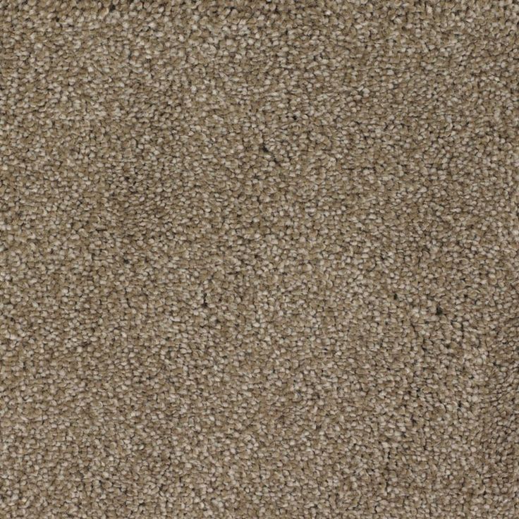 STAINMASTER Signature Briar Patch Donner Textured Carpet (Indoor)