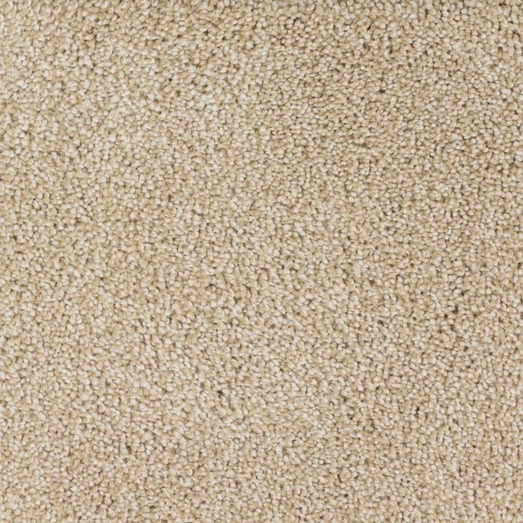 STAINMASTER Signature Briar Patch Canvas Textured Carpet (Indoor)