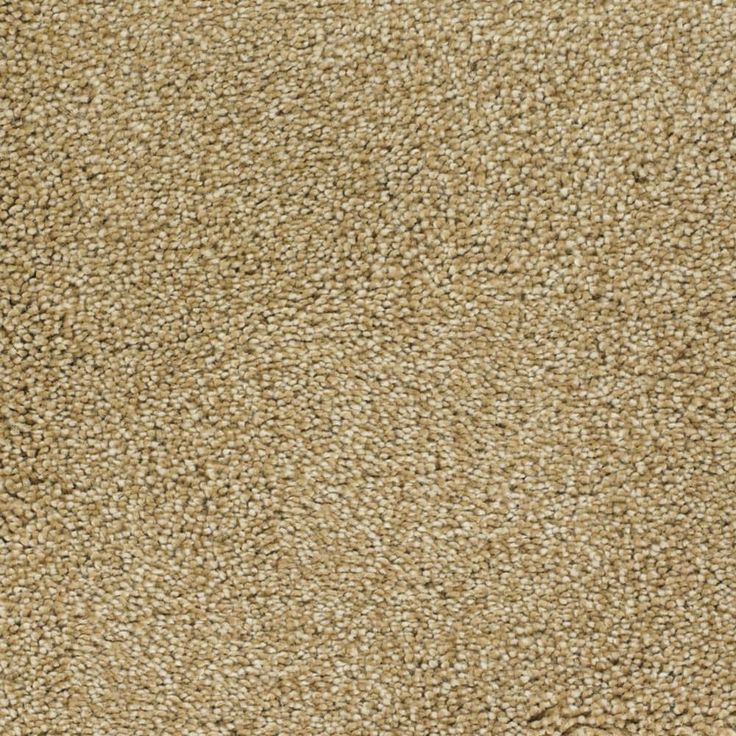 STAINMASTER Signature Briar Patch Chinchilla Textured Carpet (Indoor)