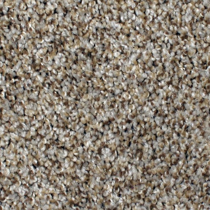 STAINMASTER PetProtect Concord Mystical Charm Textured Carpet (Indoor)