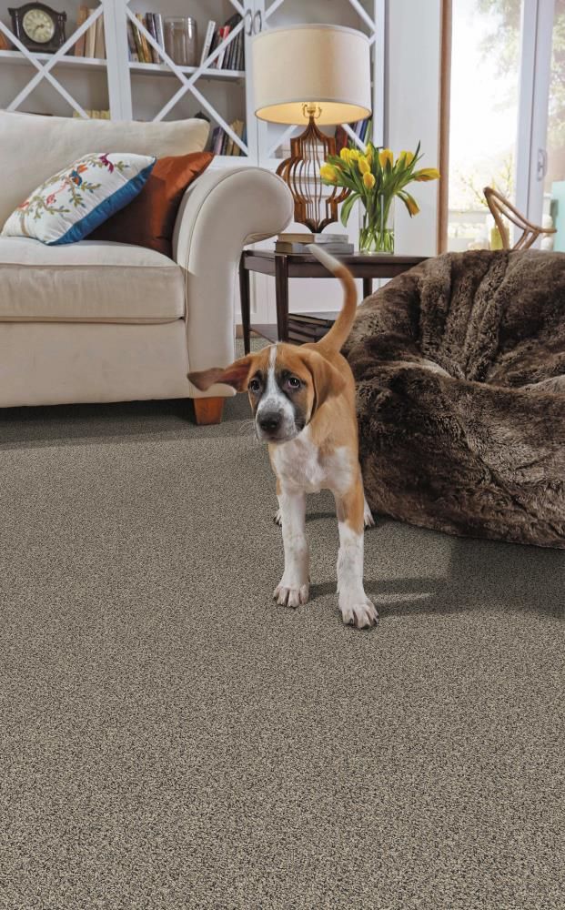 STAINMASTER PetProtect Concord Mystical Charm Textured Carpet (Indoor) - Image 3