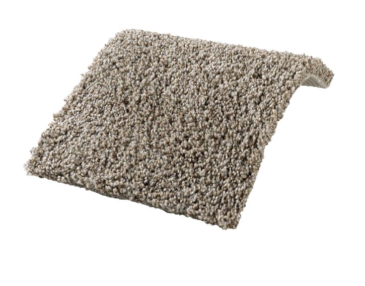STAINMASTER PetProtect Concord Mystical Charm Textured Carpet (Indoor) - Image 4