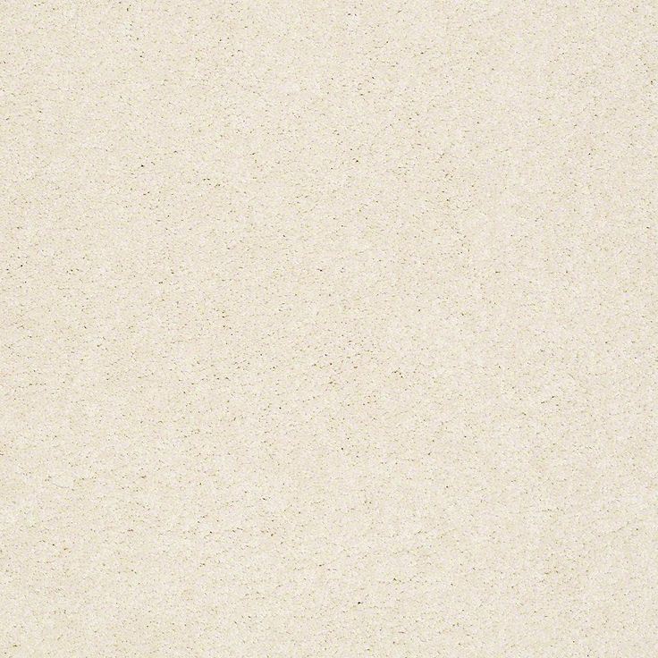 STAINMASTER PetProtect Baxter I Lucy Textured Carpet (Indoor)