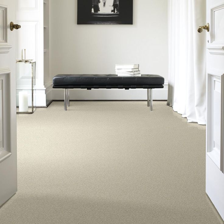 STAINMASTER PetProtect Baxter I Sadie Textured Carpet (Indoor) - Image 4