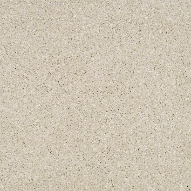 STAINMASTER PetProtect Baxter I Pug Textured Carpet (Indoor)