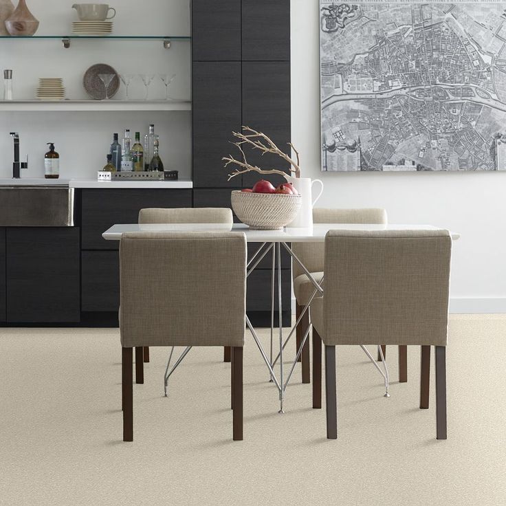 STAINMASTER PetProtect Baxter I Pug Textured Carpet (Indoor) - Image 3