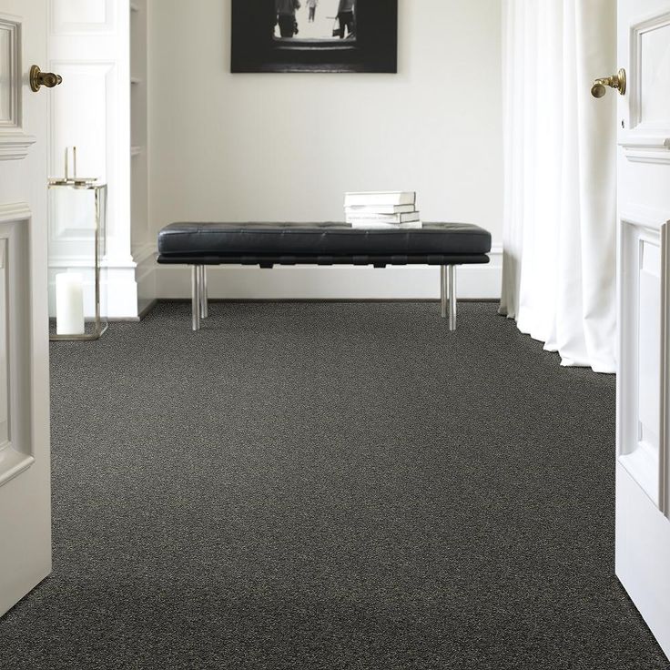 STAINMASTER PetProtect Baxter I Charlie Textured Carpet (Indoor) - Image 3