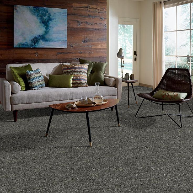 STAINMASTER PetProtect Baxter I Charlie Textured Carpet (Indoor) - Image 4