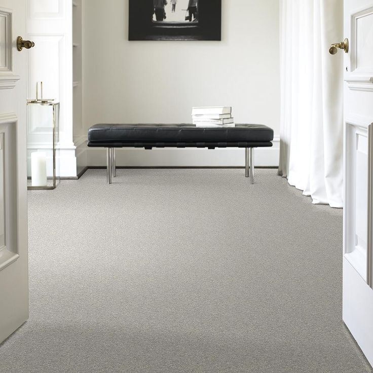 STAINMASTER PetProtect Baxter I Gizmo Textured Carpet (Indoor) - Image 2
