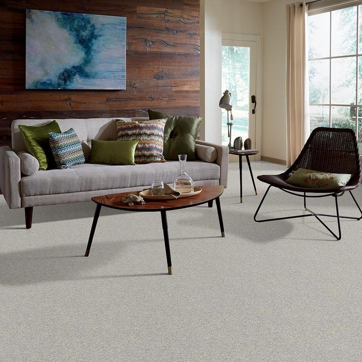 STAINMASTER PetProtect Baxter I Gizmo Textured Carpet (Indoor) - Image 4