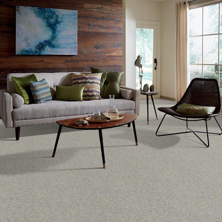 STAINMASTER PetProtect Baxter I Trixie Textured Carpet (Indoor) - Image 3