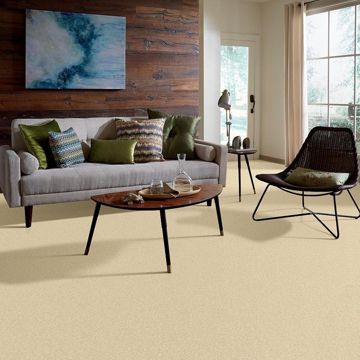 STAINMASTER PetProtect Baxter I Spaniel Textured Carpet (Indoor) - Image 4