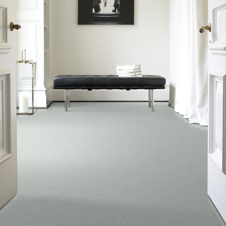 STAINMASTER PetProtect Baxter I Retriever Textured Carpet (Indoor) - Image 3