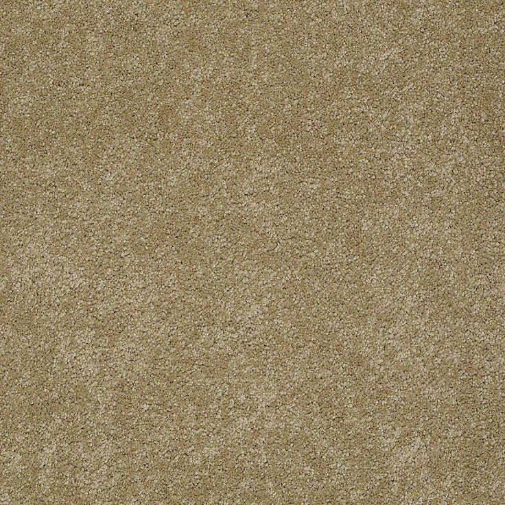 STAINMASTER PetProtect Baxter I Molly Textured Carpet (Indoor)