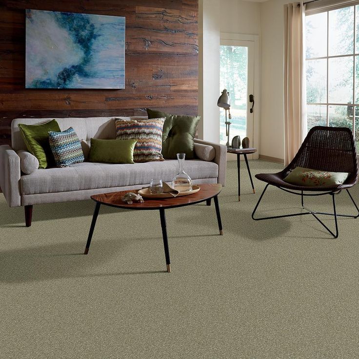 STAINMASTER PetProtect Baxter I Buddy Textured Carpet (Indoor) - Image 2