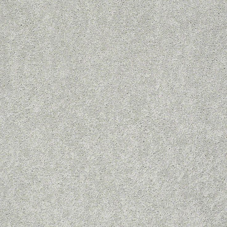 STAINMASTER PetProtect Baxter I Mac Textured Carpet (Indoor)