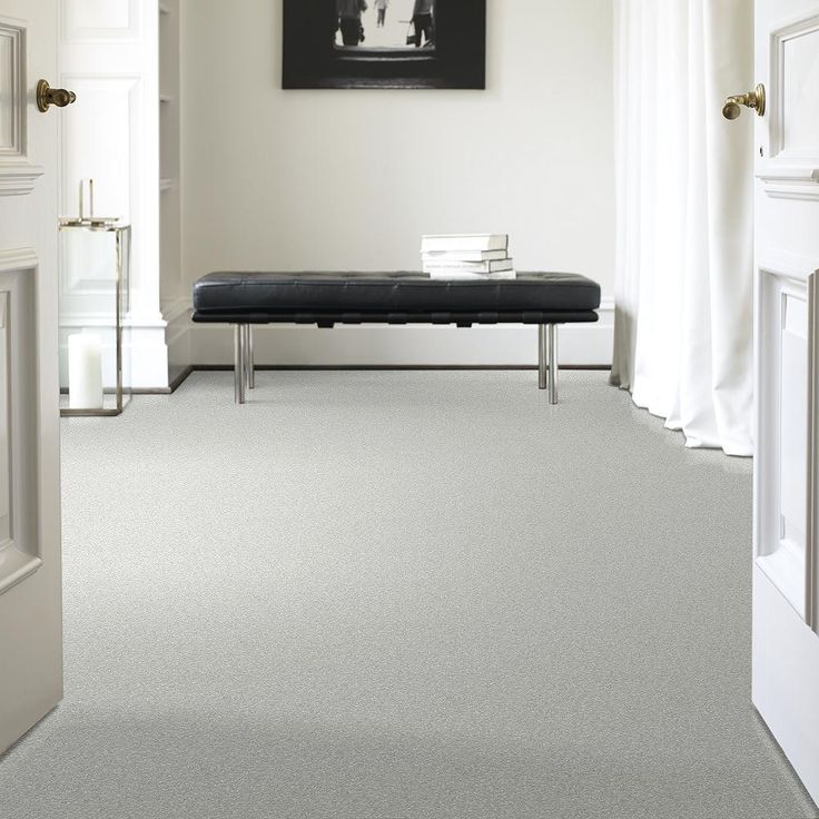 STAINMASTER PetProtect Baxter I Mac Textured Carpet (Indoor) - Image 4