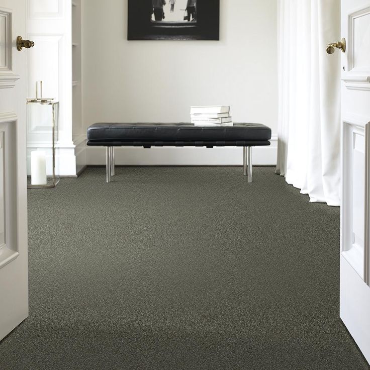 STAINMASTER PetProtect Baxter I Winston Textured Carpet (Indoor) - Image 3