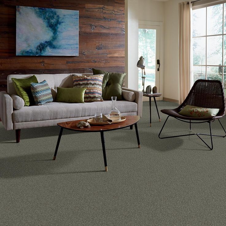 STAINMASTER PetProtect Baxter I Winston Textured Carpet (Indoor) - Image 5