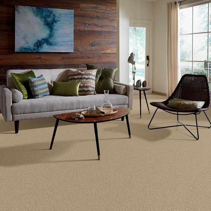 STAINMASTER PetProtect Baxter I Boxer Textured Carpet (Indoor) - Image 3