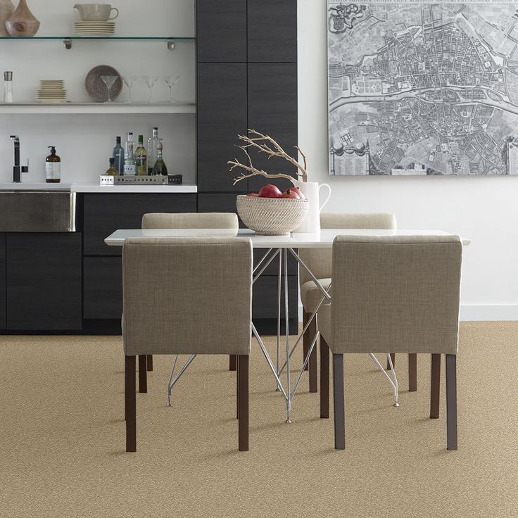 STAINMASTER PetProtect Baxter I Boxer Textured Carpet (Indoor) - Image 4