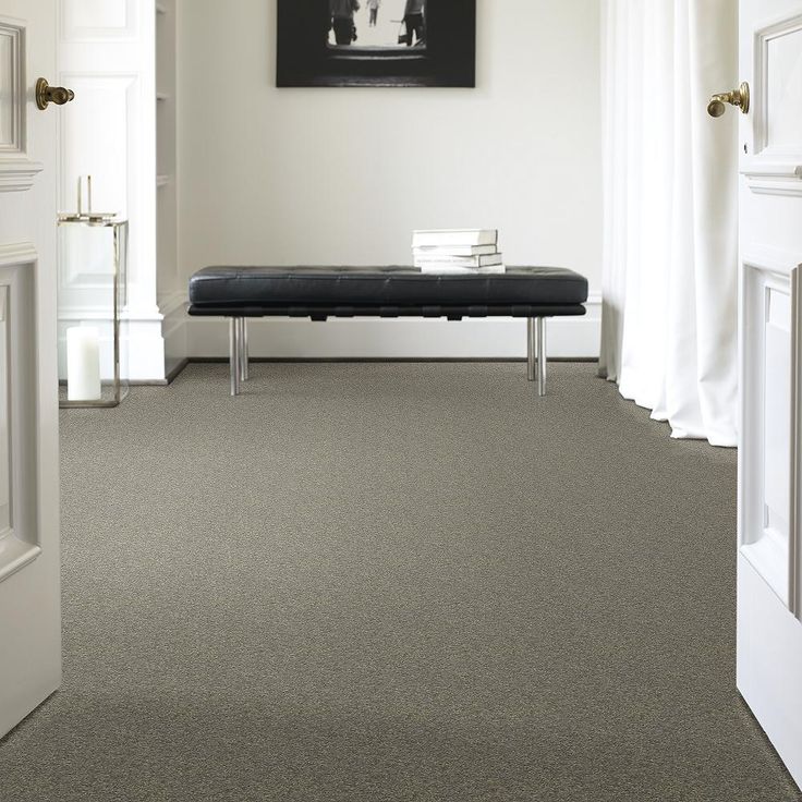 STAINMASTER PetProtect Baxter I Bentley Textured Carpet (Indoor) - Image 2