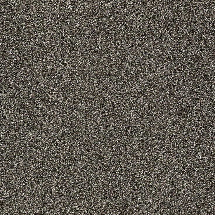 STAINMASTER PetProtect Baxter I Doberman Textured Carpet (Indoor)