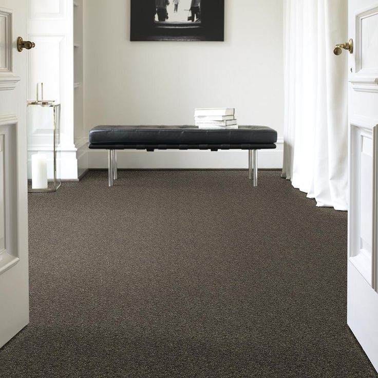 STAINMASTER PetProtect Baxter I Doberman Textured Carpet (Indoor) - Image 3