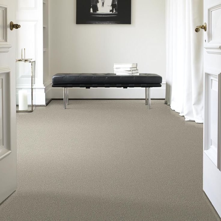STAINMASTER PetProtect Baxter II Marmaduke Textured Carpet (Indoor)