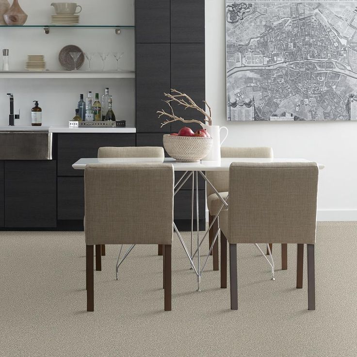 STAINMASTER PetProtect Baxter II Marmaduke Textured Carpet (Indoor) - Image 3