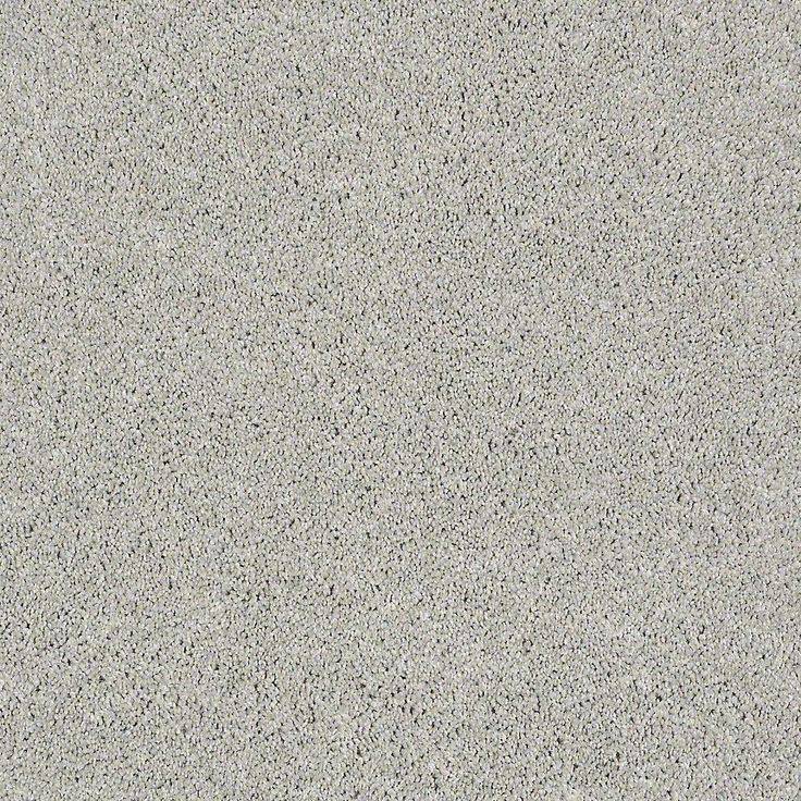 STAINMASTER PetProtect Baxter II Gizmo Textured Carpet (Indoor)