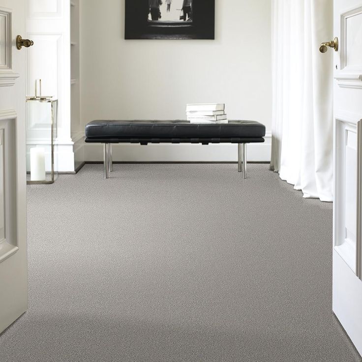 STAINMASTER PetProtect Baxter II Gizmo Textured Carpet (Indoor) - Image 5