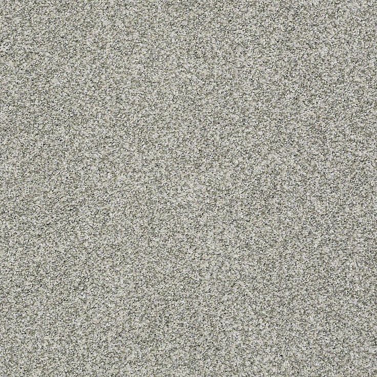 STAINMASTER PetProtect Baxter II Trixie Textured Carpet (Indoor)