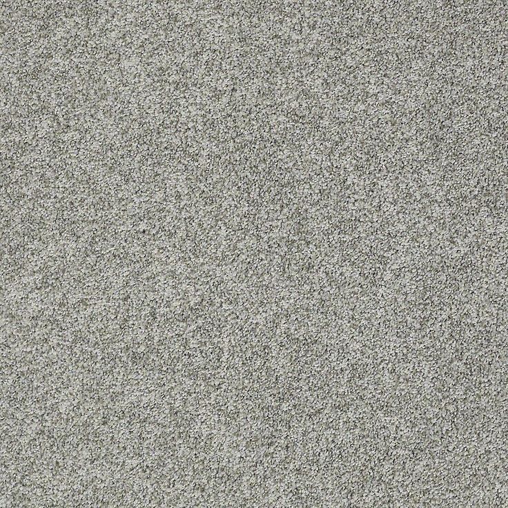 STAINMASTER PetProtect Baxter II Roscoe Textured Carpet (Indoor)