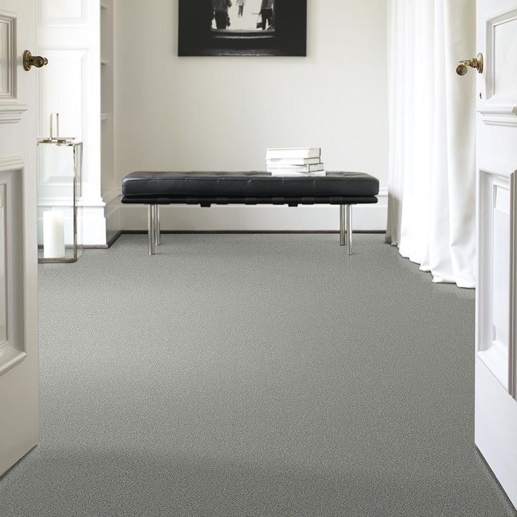 STAINMASTER PetProtect Baxter II Roscoe Textured Carpet (Indoor) - Image 5