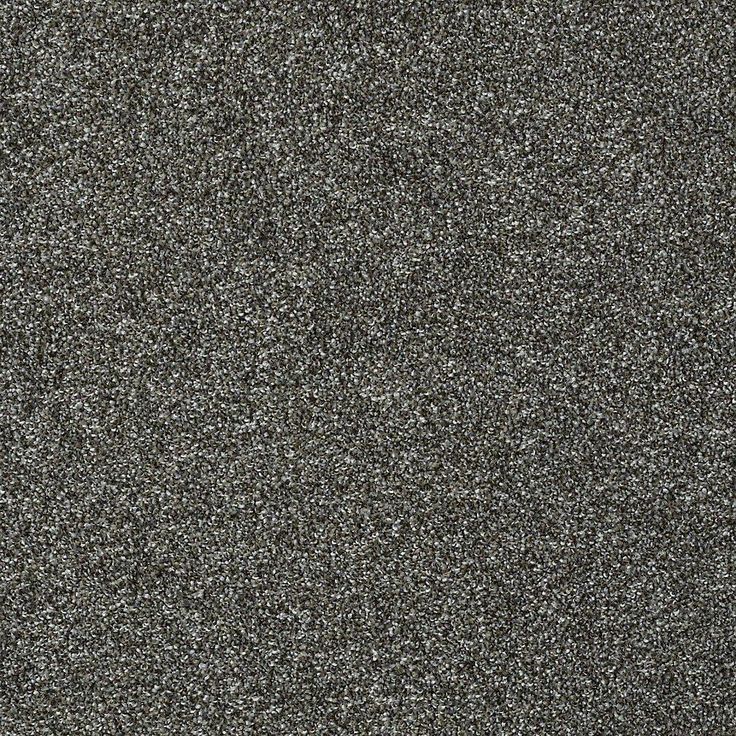 STAINMASTER PetProtect Baxter II Roll Over Textured Carpet (Indoor)