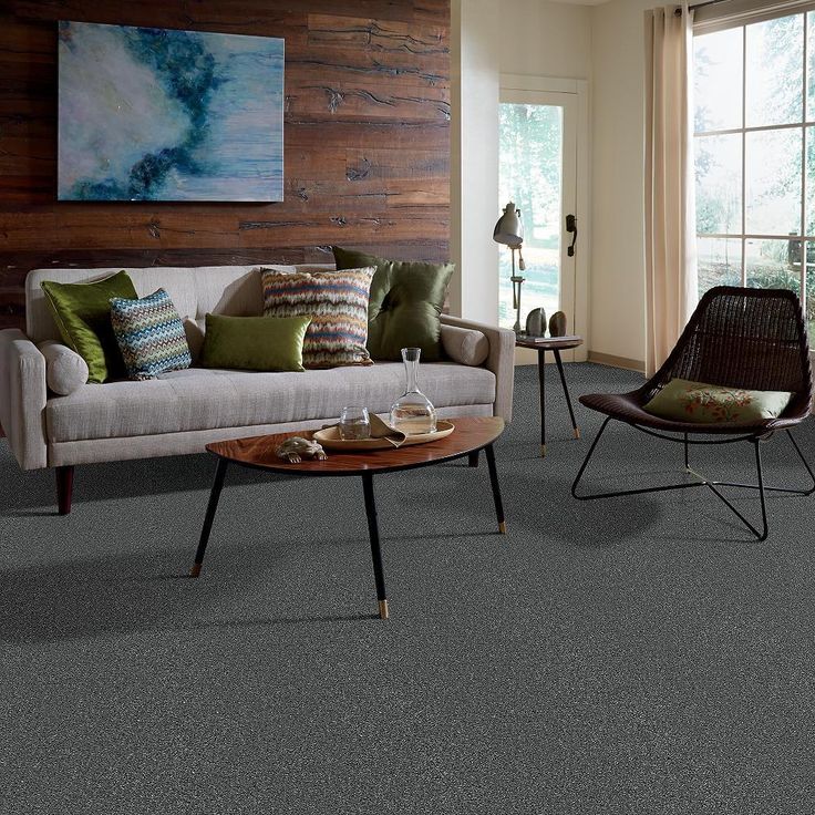 STAINMASTER PetProtect Baxter II Roll Over Textured Carpet (Indoor) - Image 4