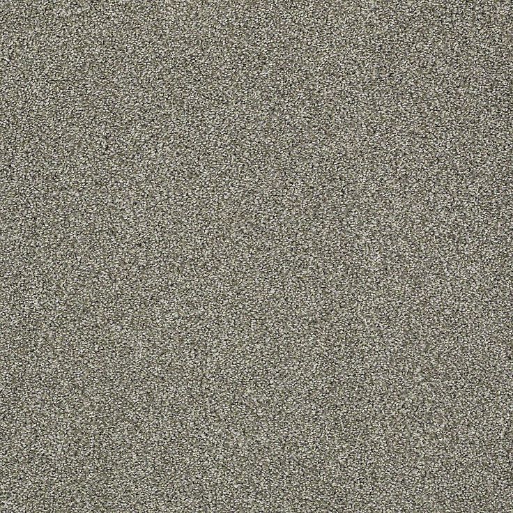 STAINMASTER PetProtect Baxter II Bentley Textured Carpet (Indoor)