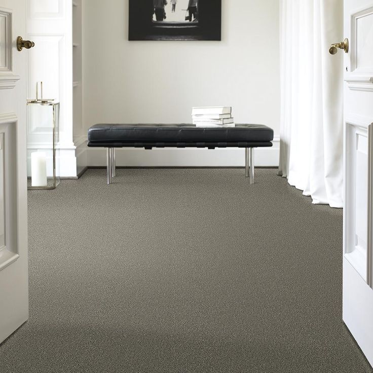 STAINMASTER PetProtect Baxter II Bentley Textured Carpet (Indoor) - Image 3