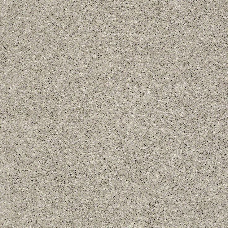 STAINMASTER PetProtect Baxter III Harley Textured Carpet (Indoor)