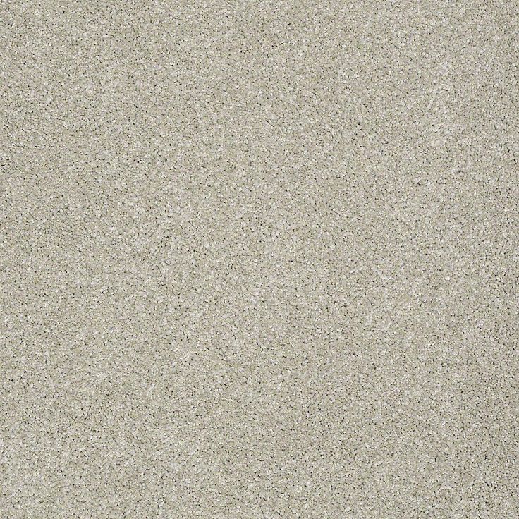 STAINMASTER PetProtect Baxter III Marmaduke Textured Carpet (Indoor)