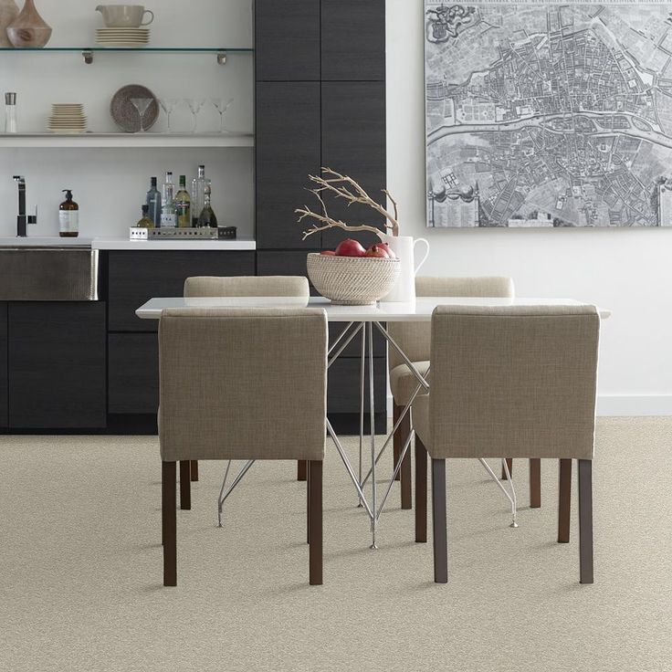 STAINMASTER PetProtect Baxter III Marmaduke Textured Carpet (Indoor) - Image 5