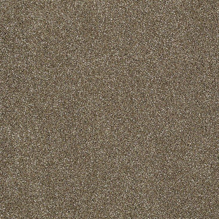 STAINMASTER PetProtect Baxter IV Dachshund Textured Carpet (Indoor)