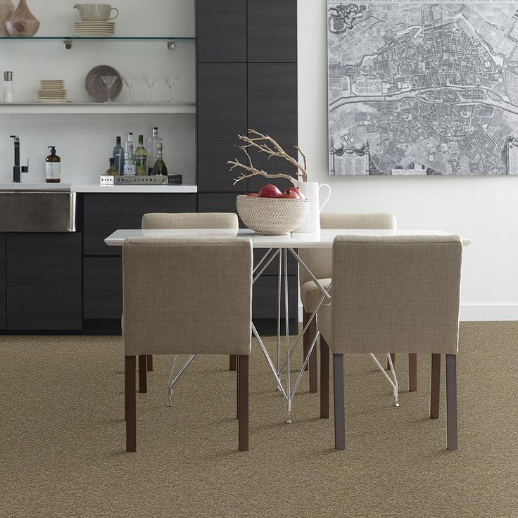 STAINMASTER PetProtect Baxter IV Dachshund Textured Carpet (Indoor) - Image 3