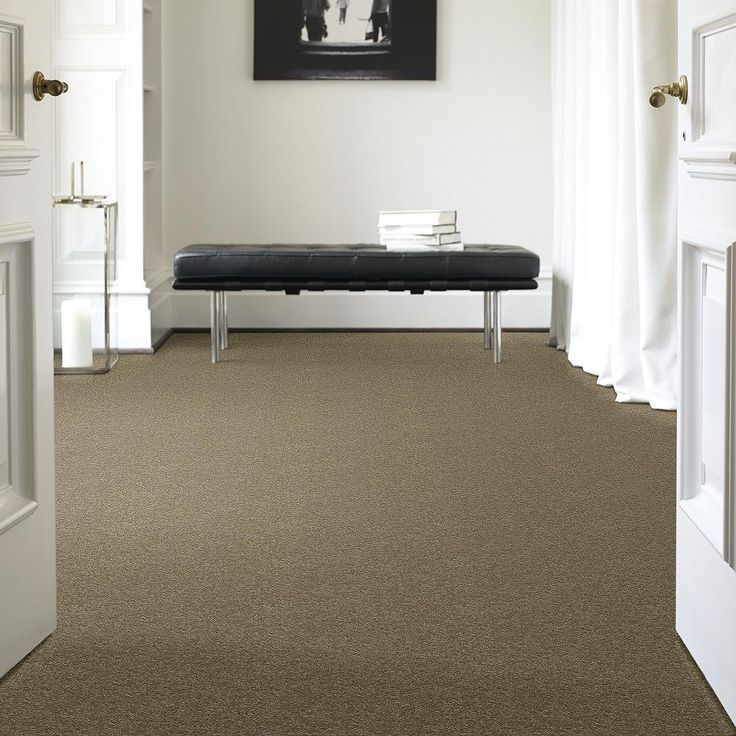 STAINMASTER PetProtect Baxter IV Dachshund Textured Carpet (Indoor) - Image 4