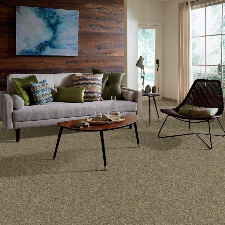 STAINMASTER PetProtect Baxter IV Dachshund Textured Carpet (Indoor) - Image 5
