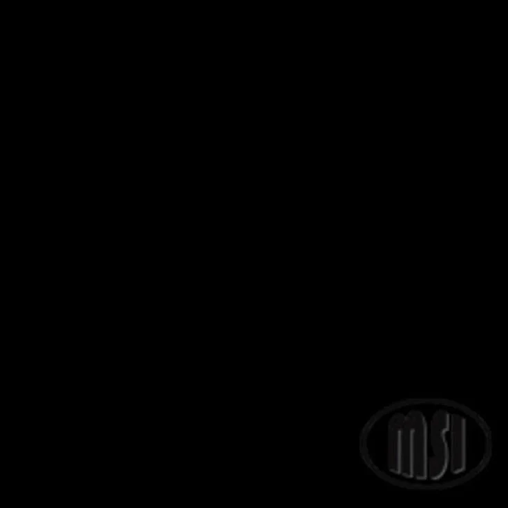 MS International Absolute Black 18 x 18 Granite Floor and Wall Tile